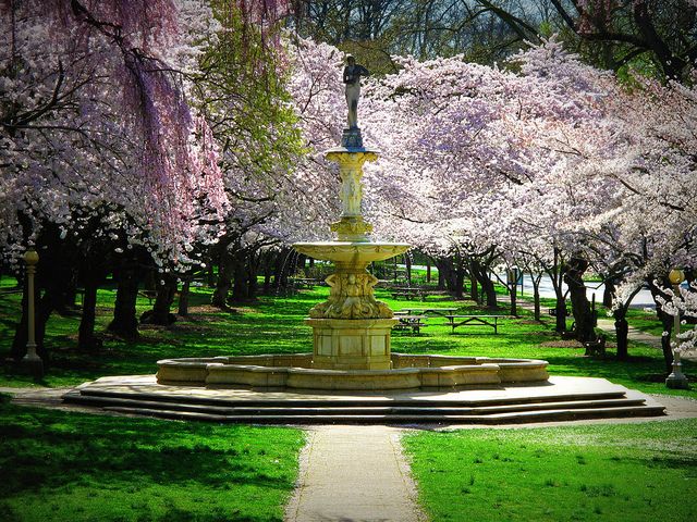 Brandywine Park