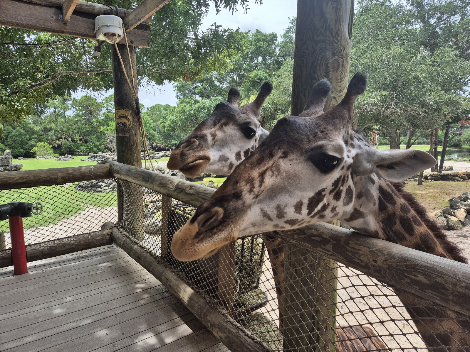 Brevard Zoo