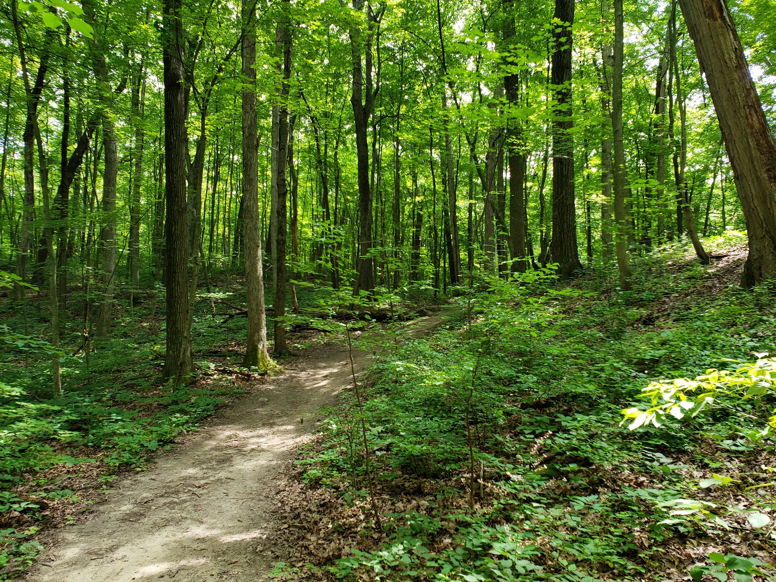 Brighton Recreation Area