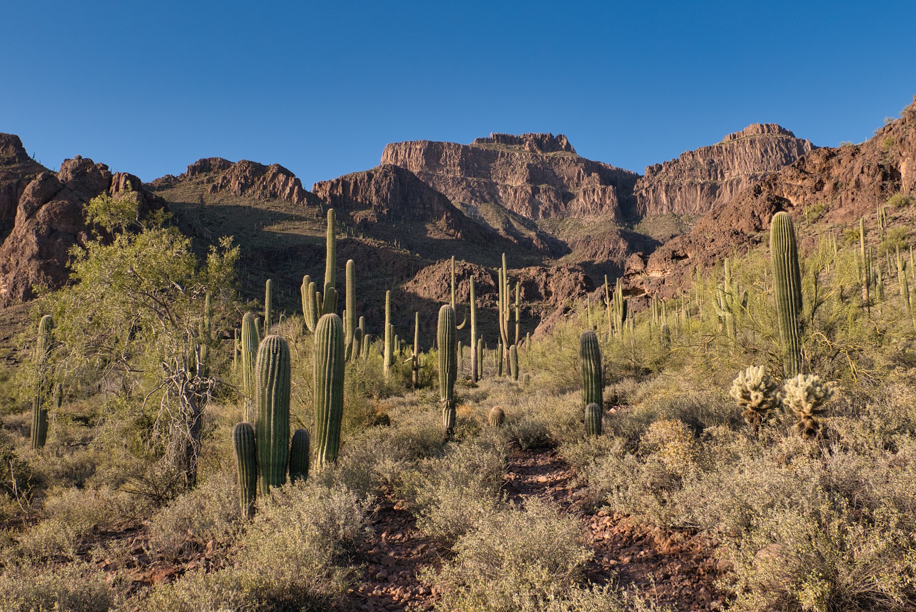 Broadway Trailhead