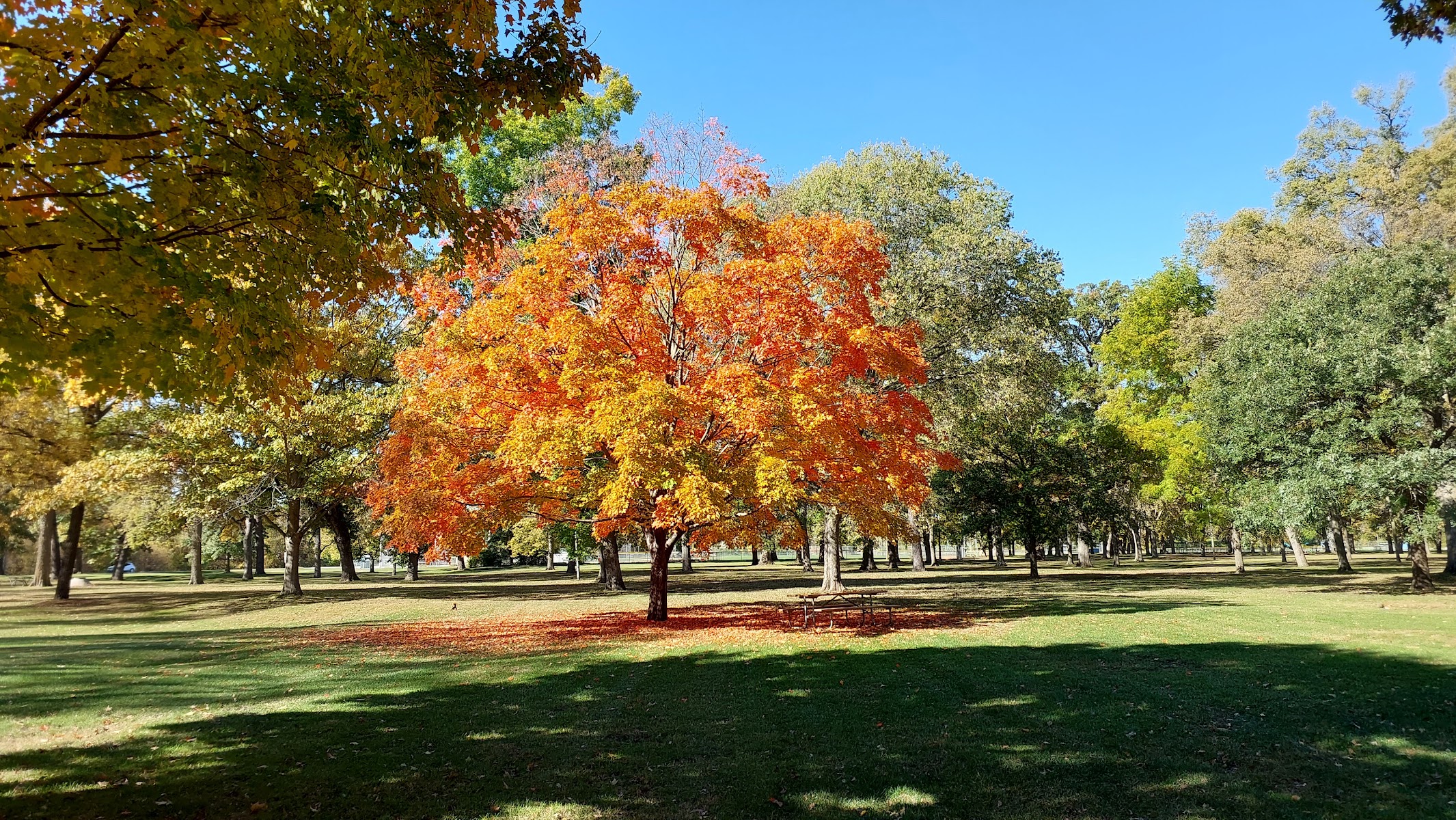 Brookside Park