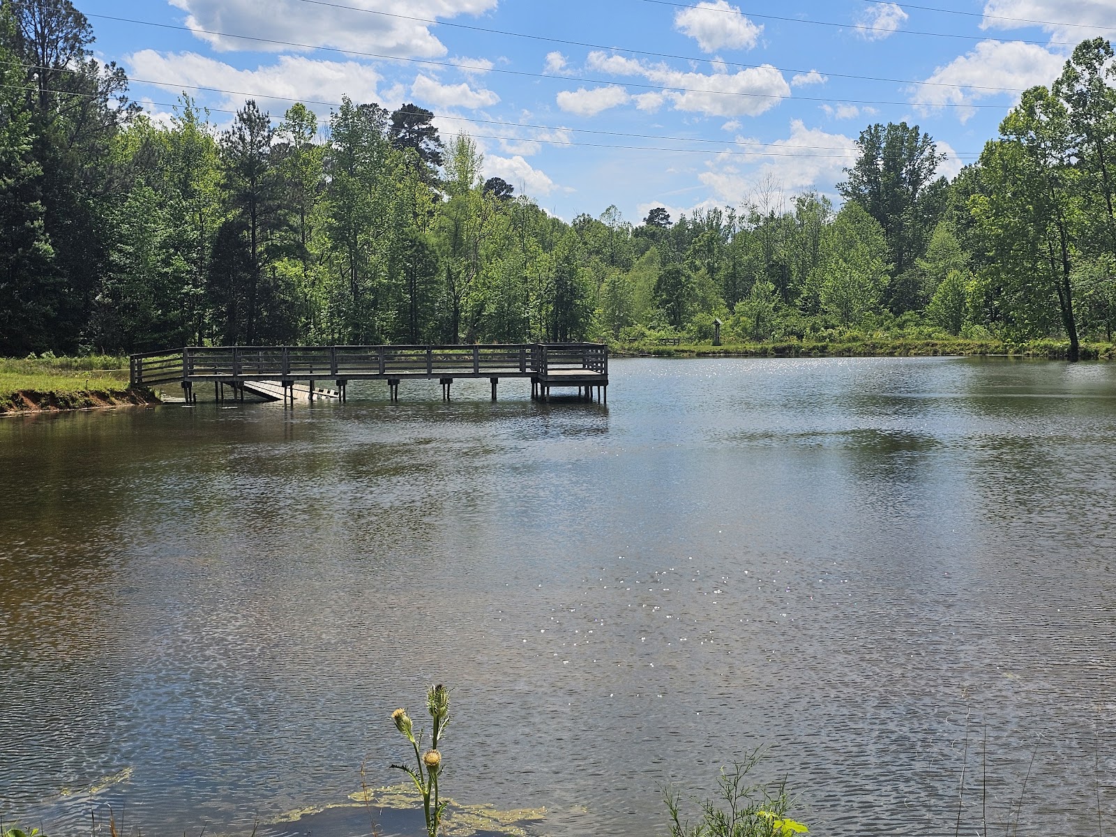 Brumley Nature Preserve