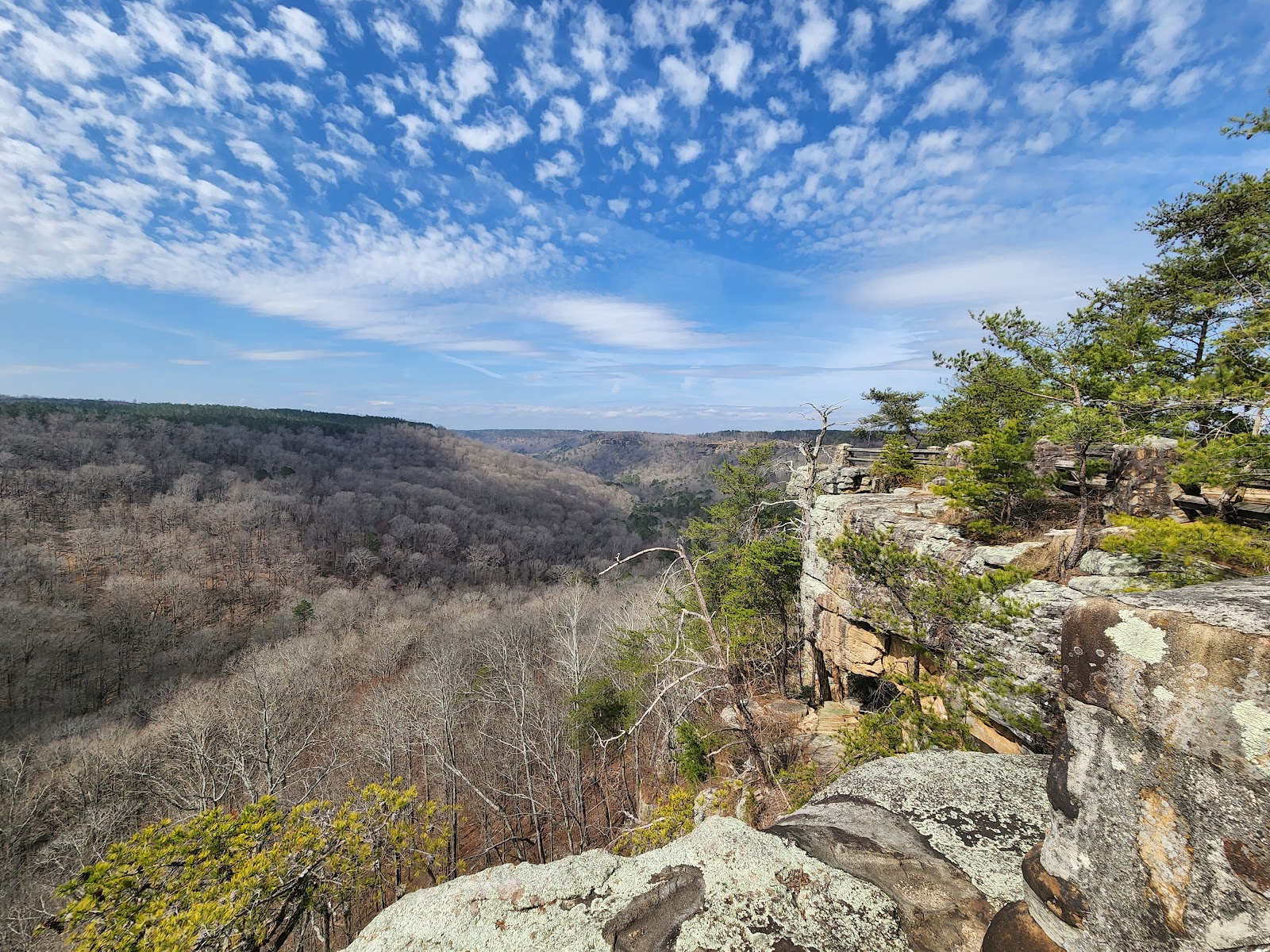 Buck's Pocket State Park