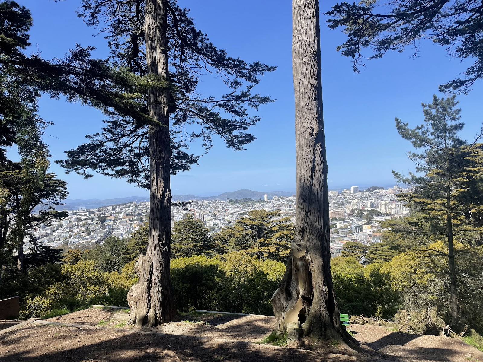 Buena Vista Park
