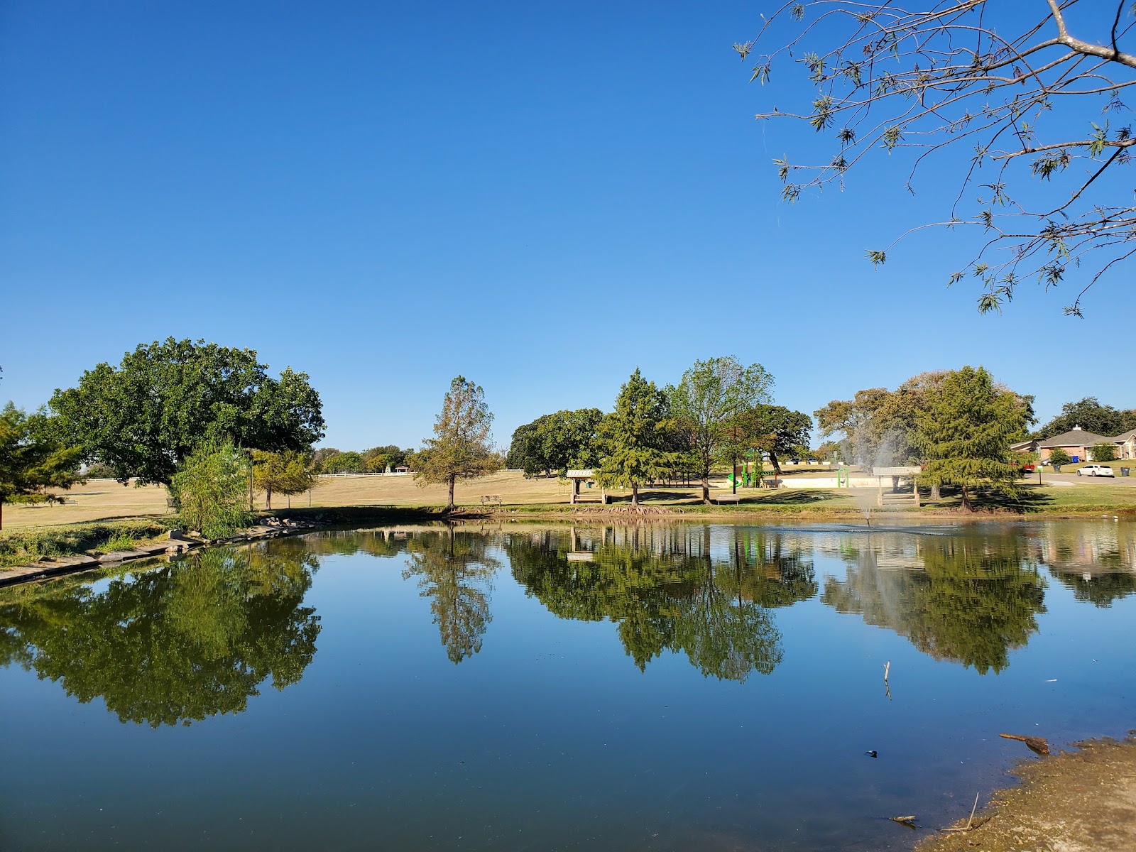 Buena Vista Park