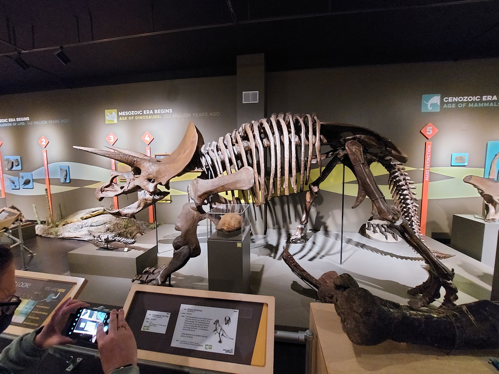 Buffalo Museum of Science