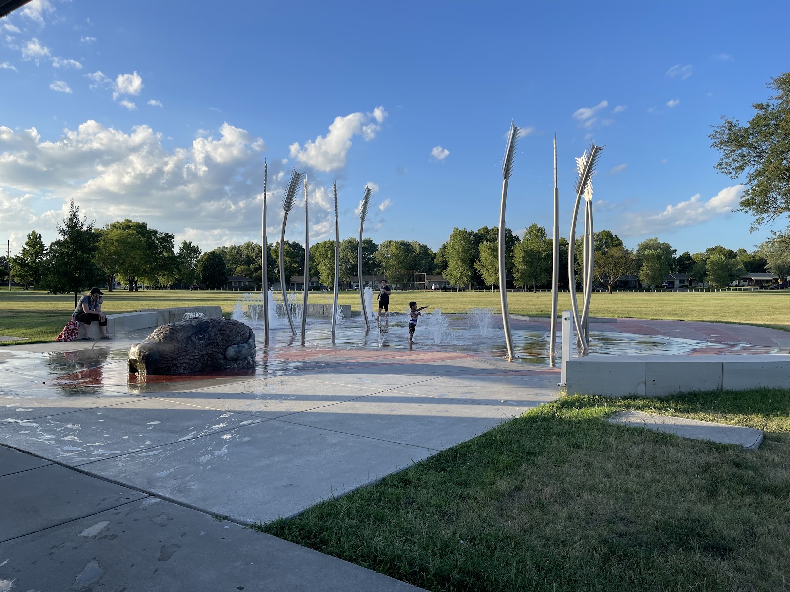Buffalo Park