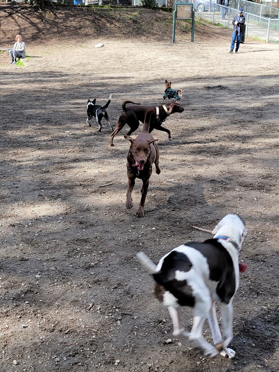 Burien Off Leash Dog Park