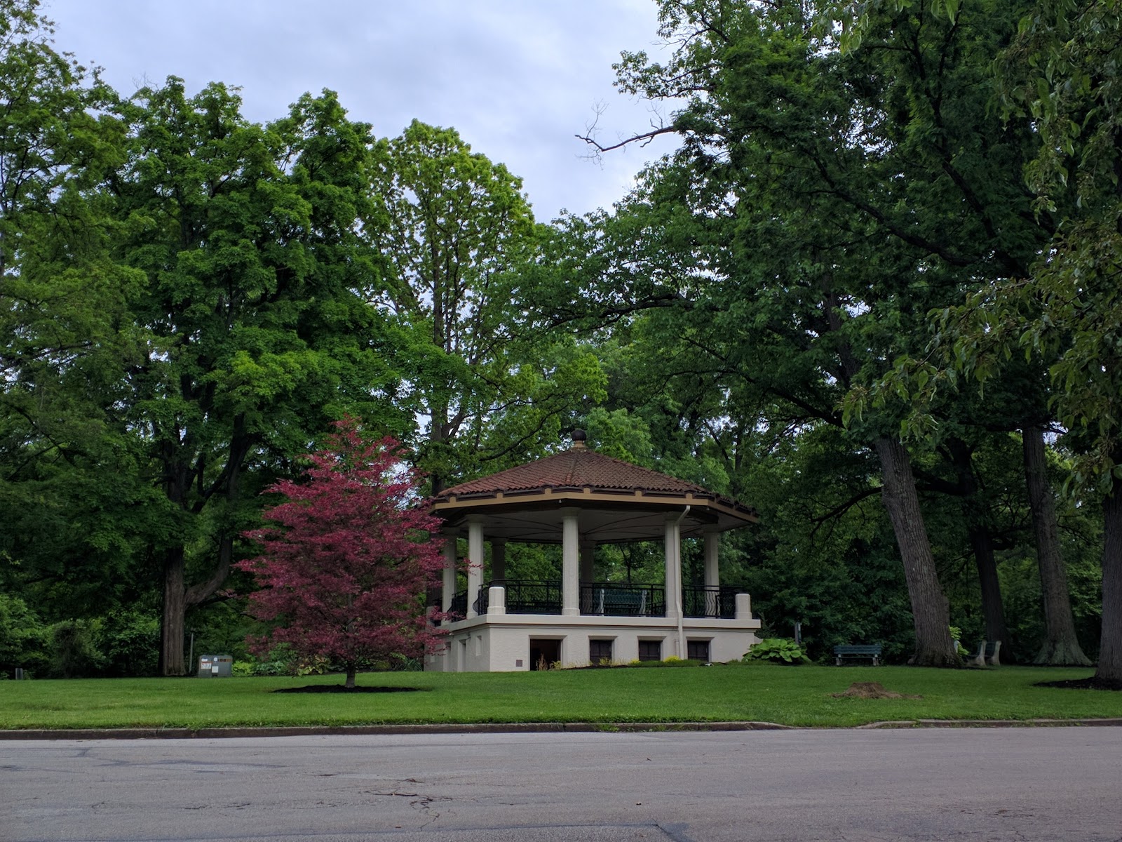 Burnet Woods