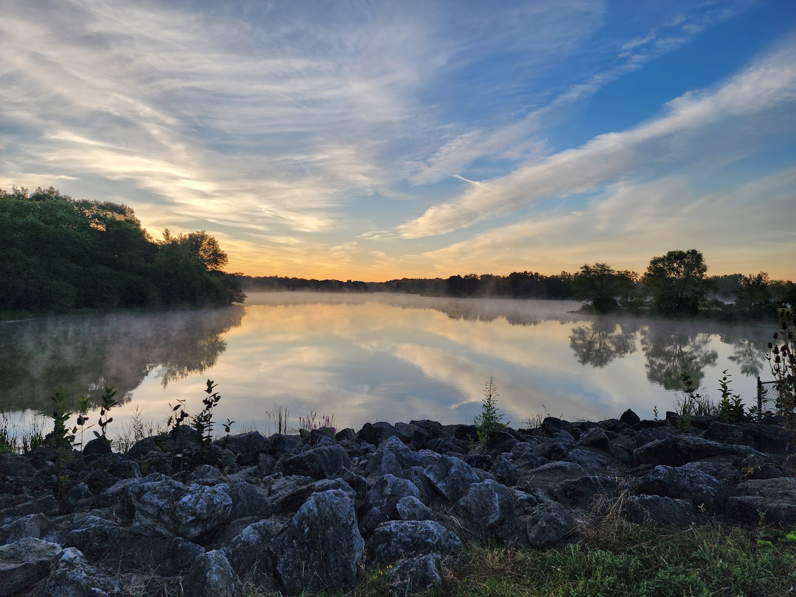 Busse Woods