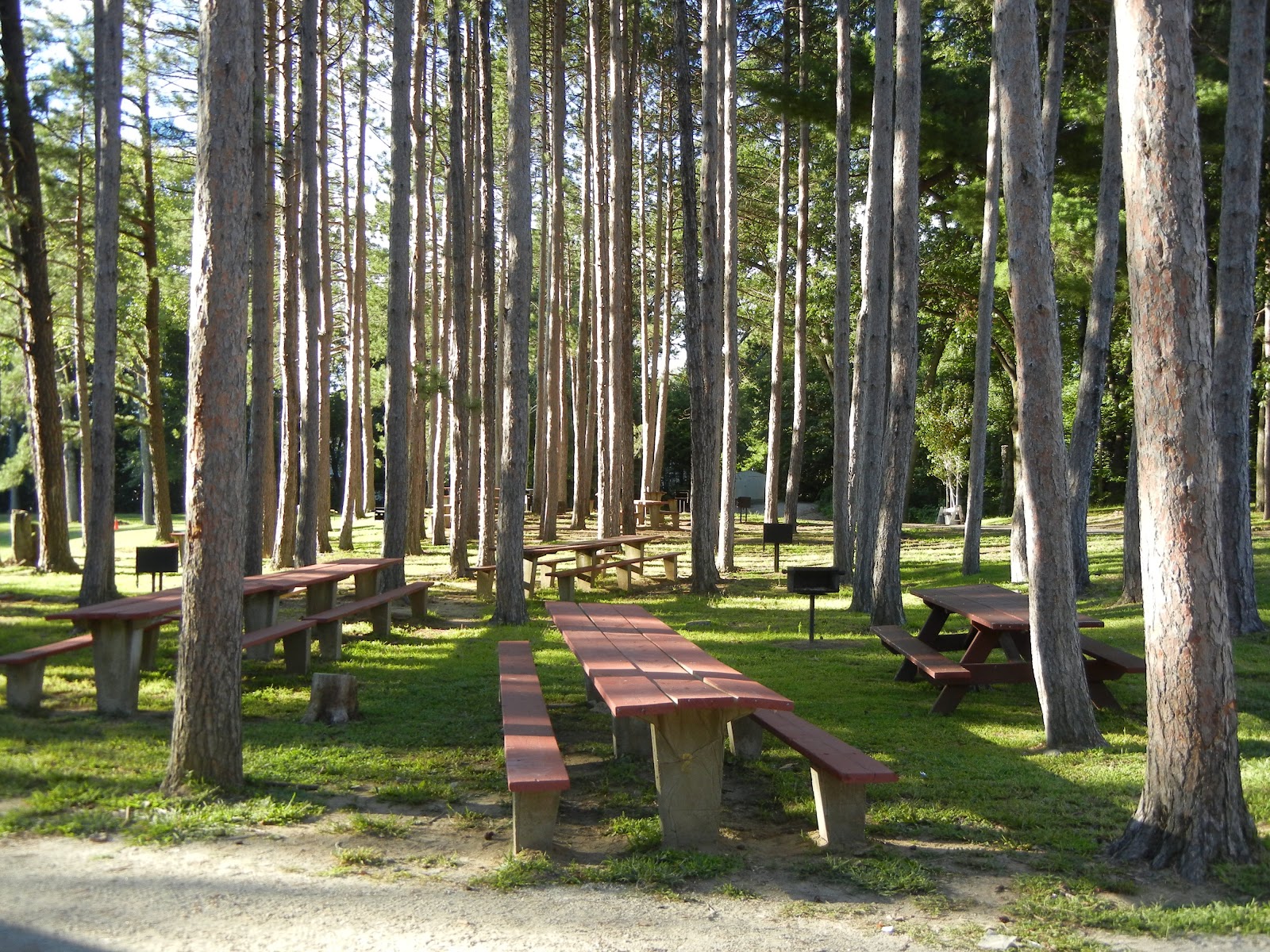 Buttery Brook Park