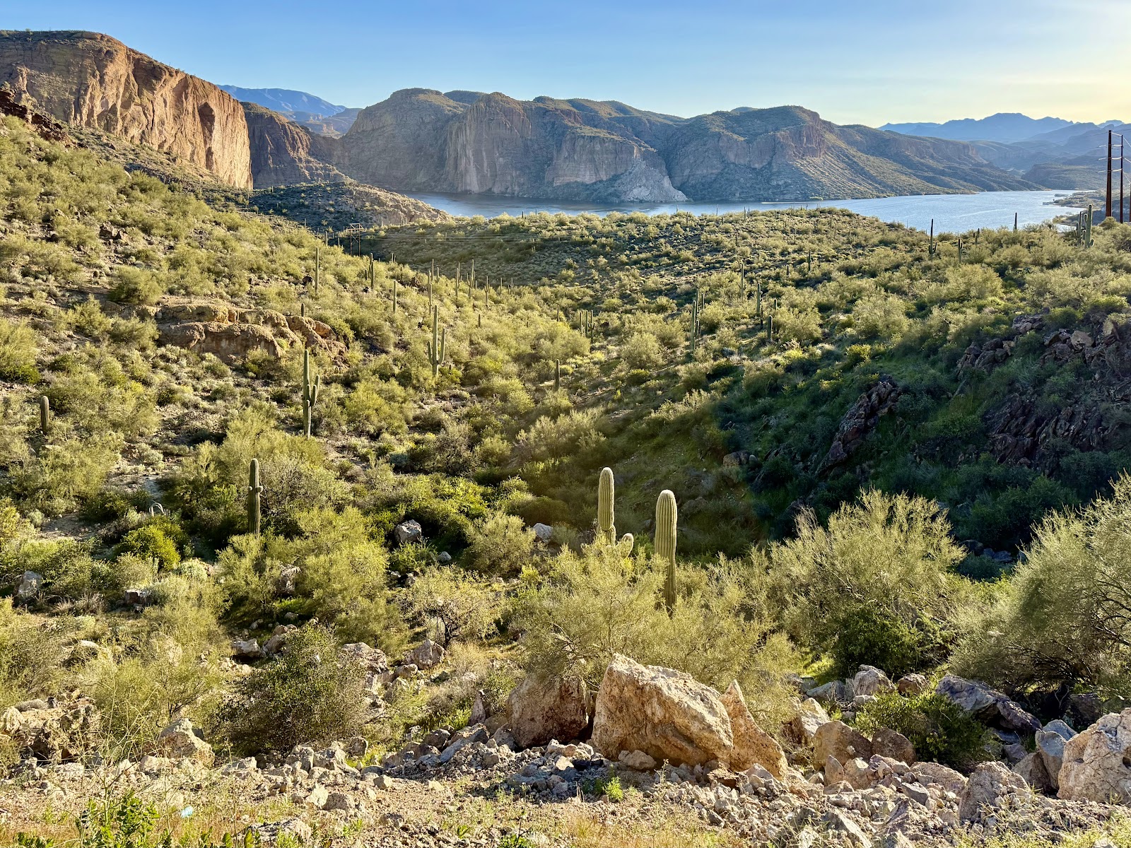 Canyon Lake Vista