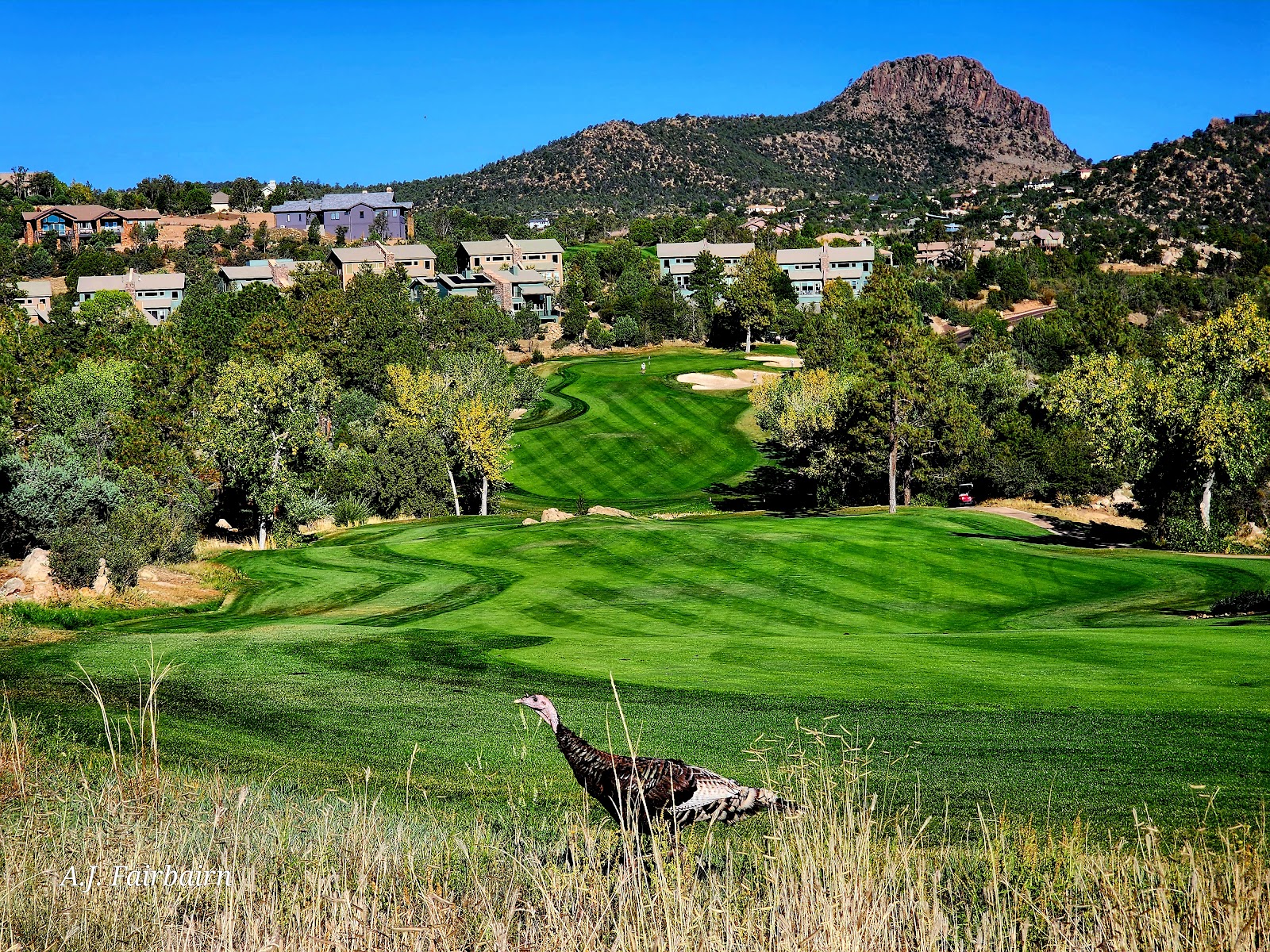Capital Canyon Club
