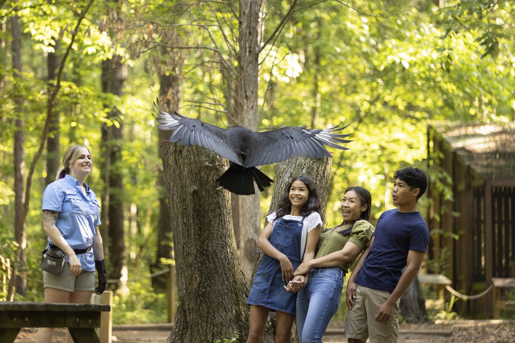 Carolina Raptor Center