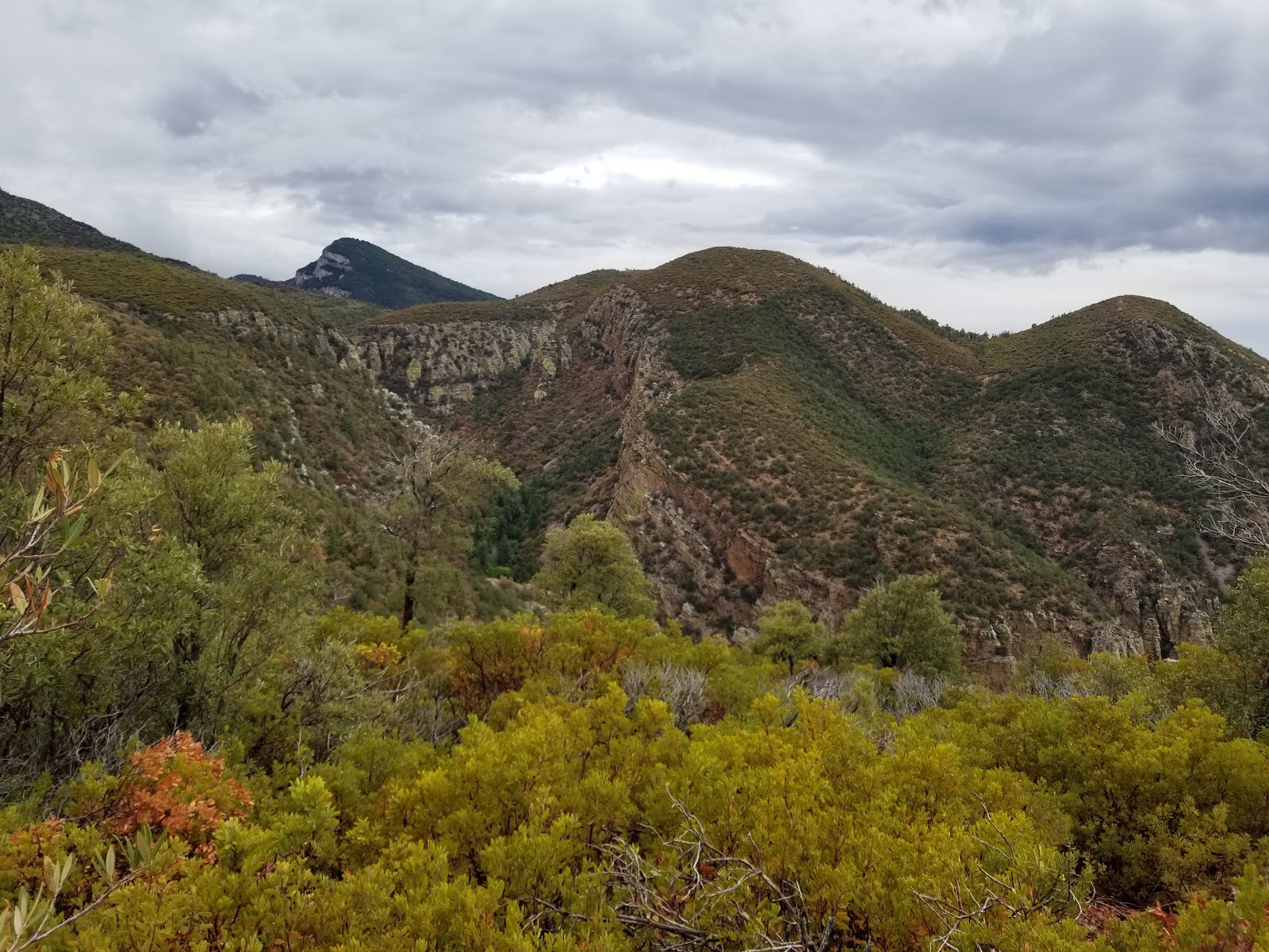Carr Canyon Waterfall Overlook