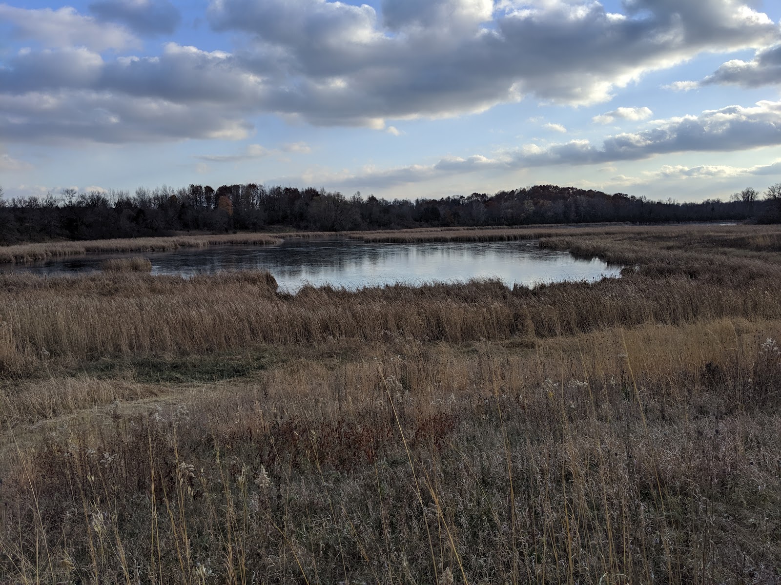 Carver Park Reserve