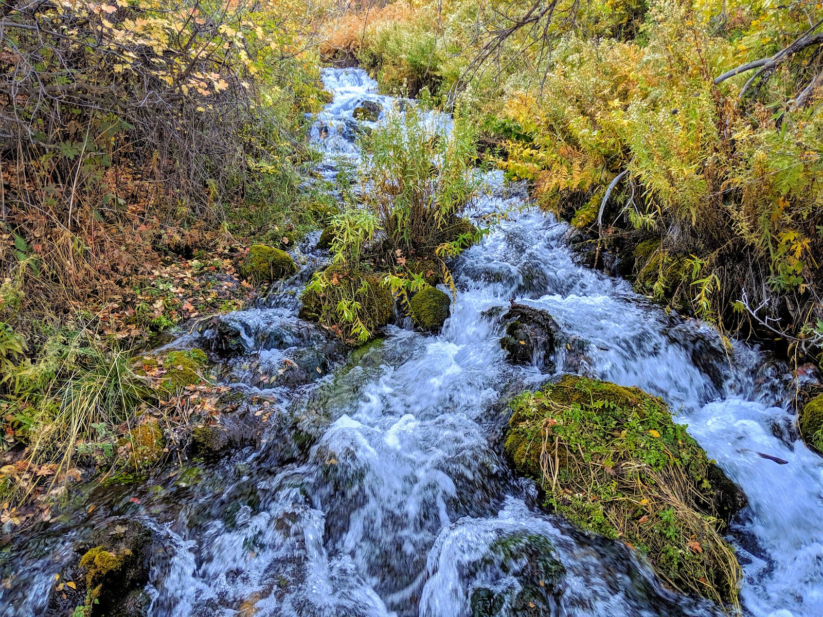 Cascade Springs