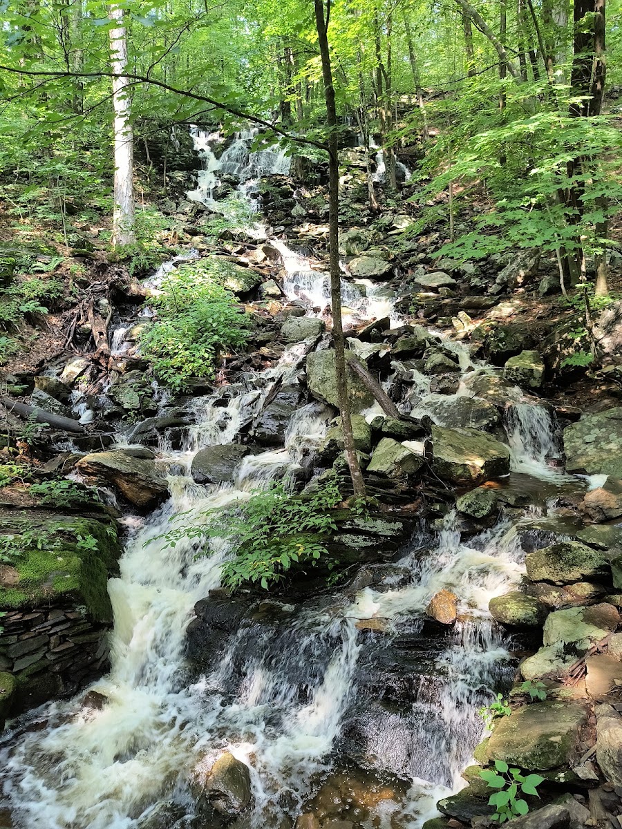 Cascading Waters