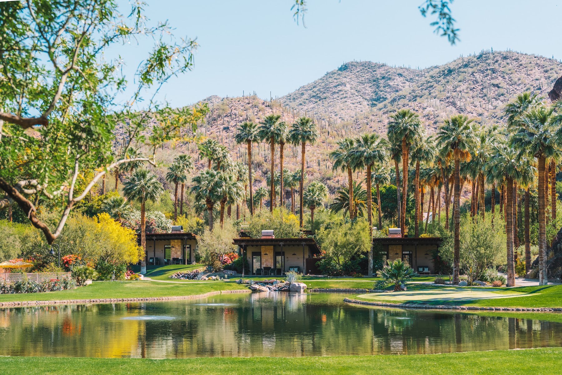 Castle Hot Springs