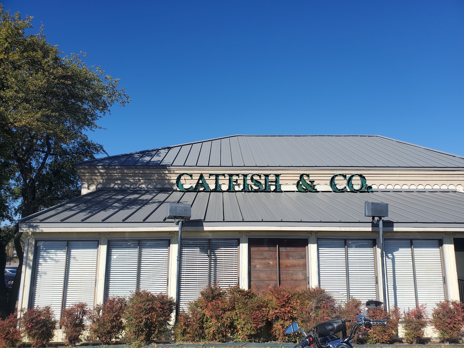 Catfish & Co