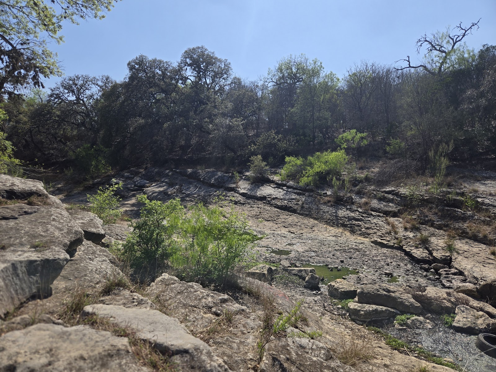 Cathedral Rock Park
