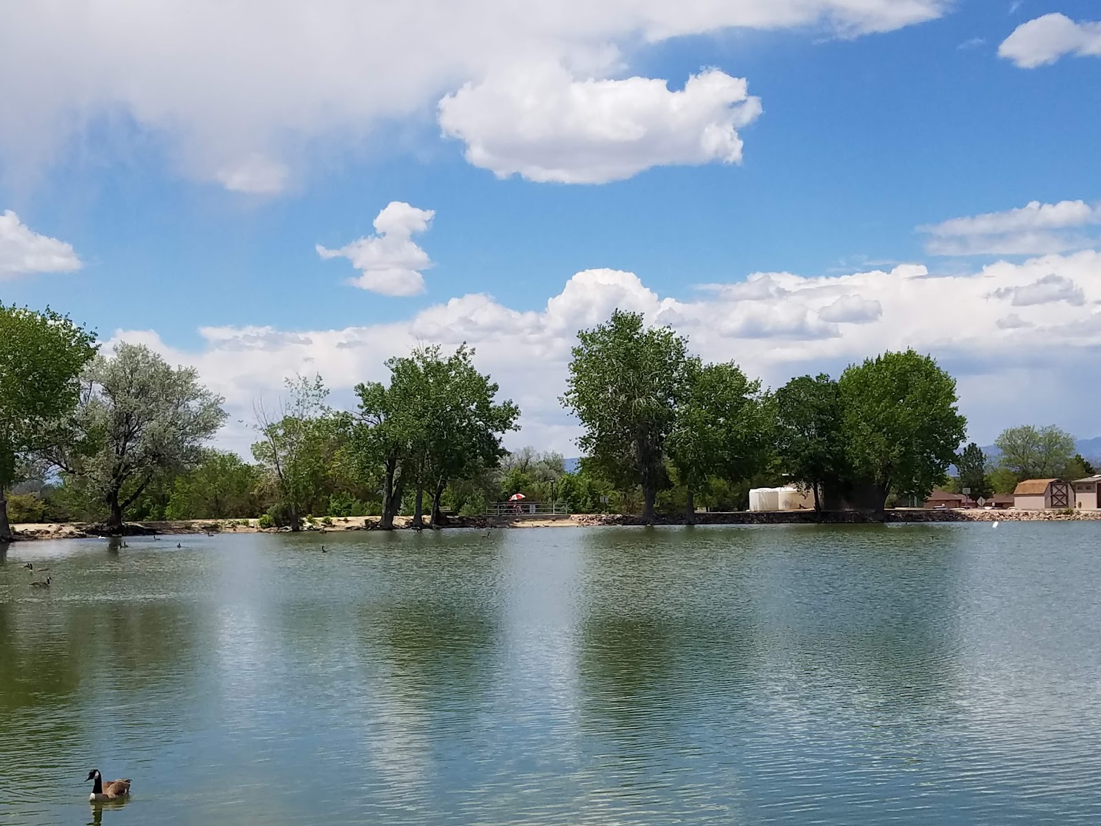 Cattail Crossing