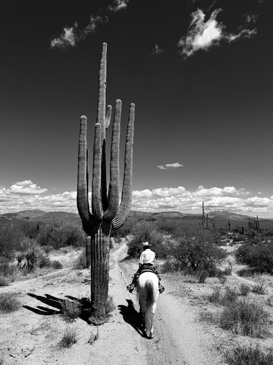 Cave Creek Outfitters, Horseback Riding, UTV/ATV/SXS PJ's Rentals