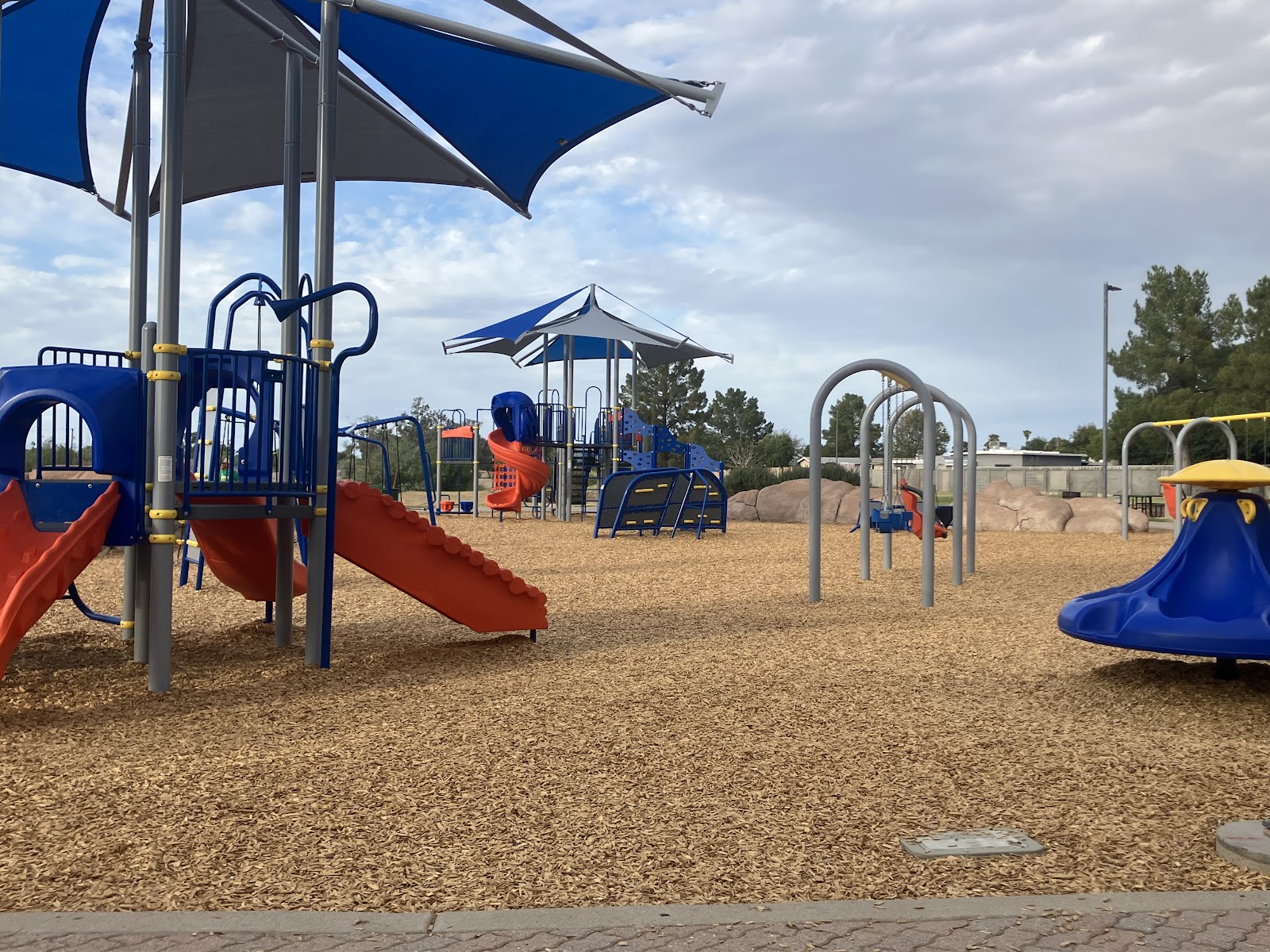 Cave Creek Park - Larkspur
