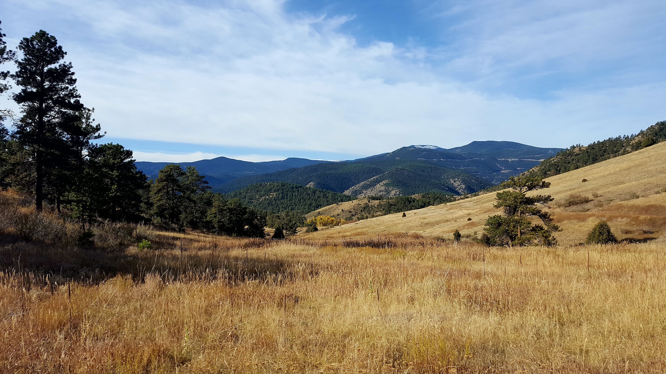 Centennial Cone Park West Trailhead