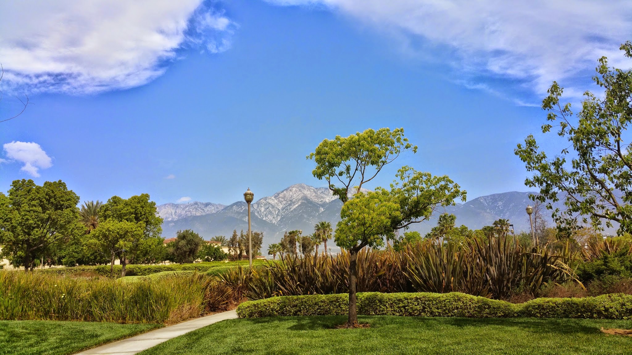 Central Park