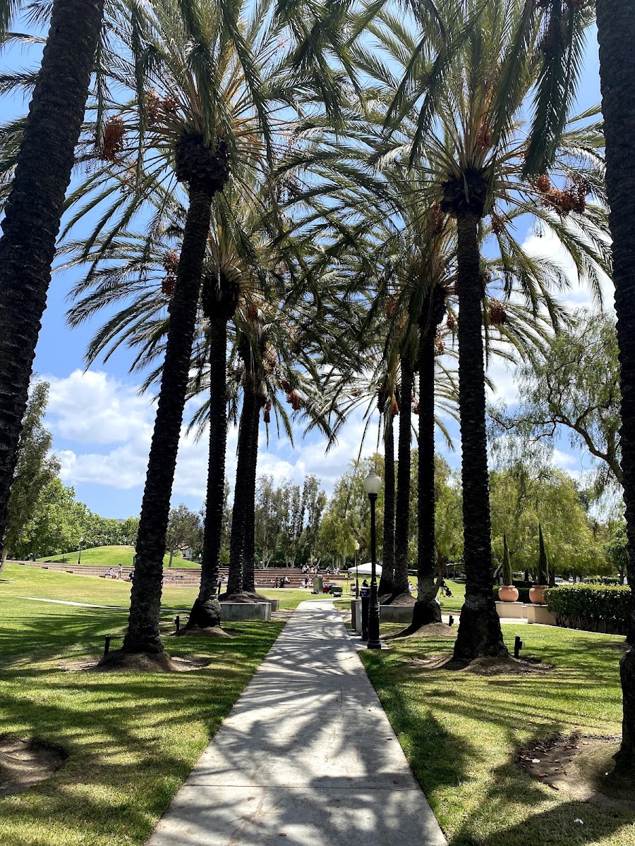 Central Park