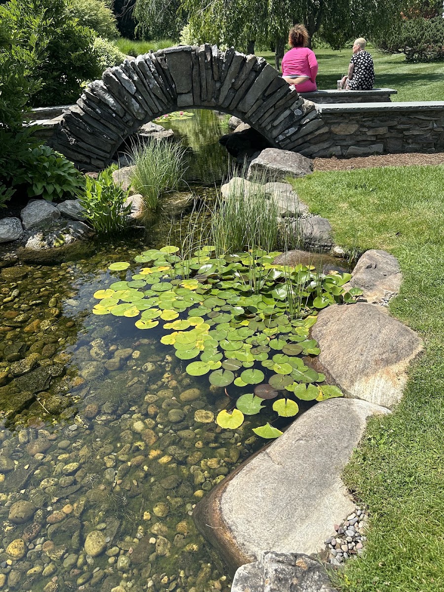 Central Park