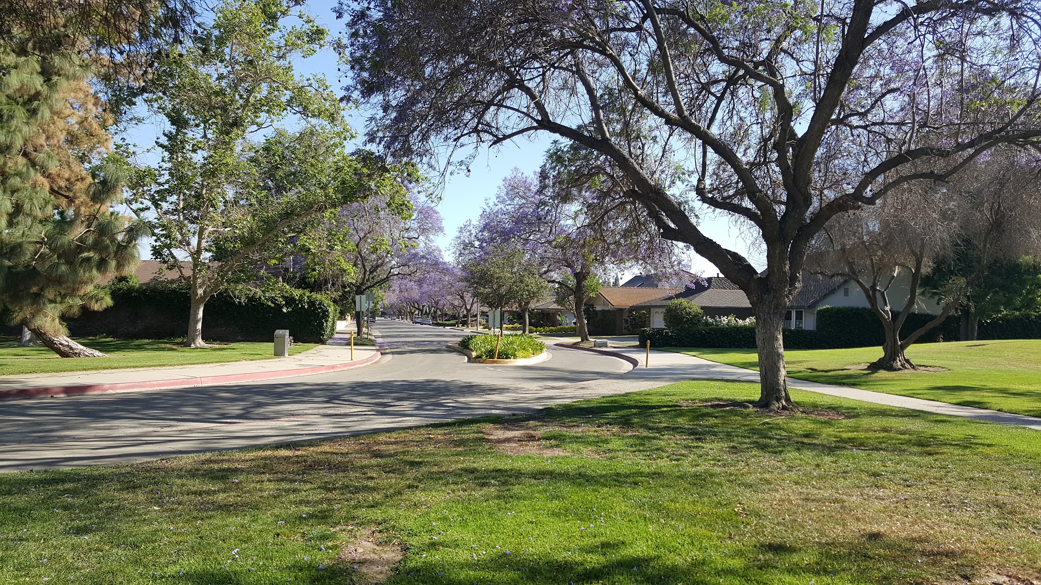 Cerritos Park East (CPE)