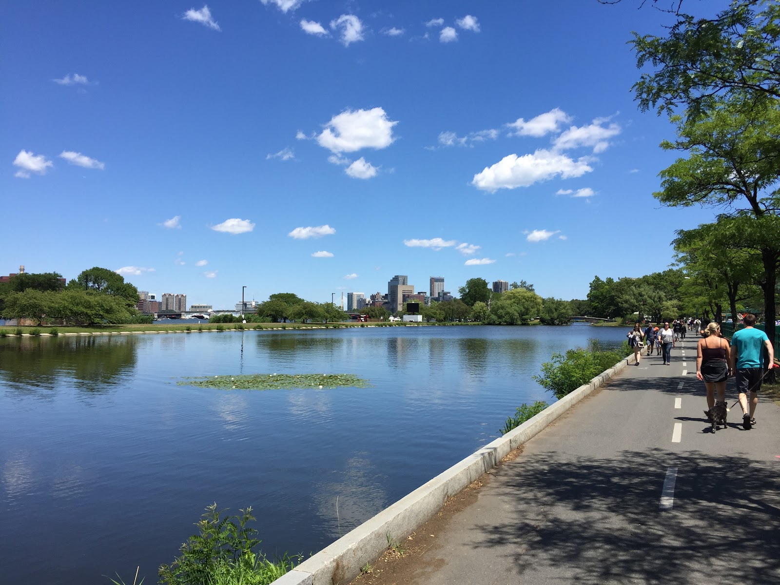 Charles River Reservation
