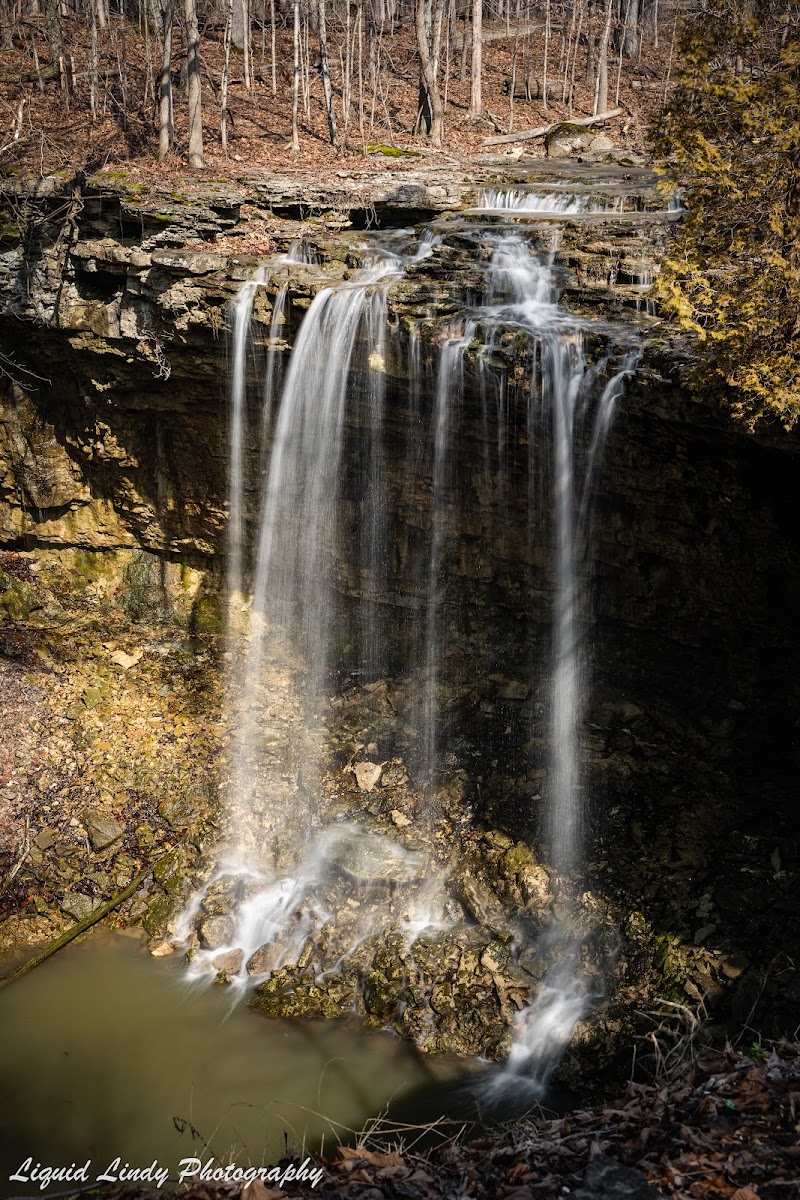 Charleston Falls Preserve