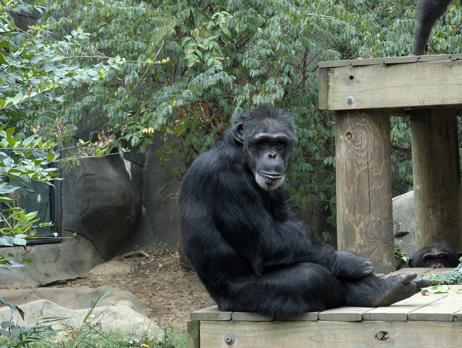 Chattanooga Zoo