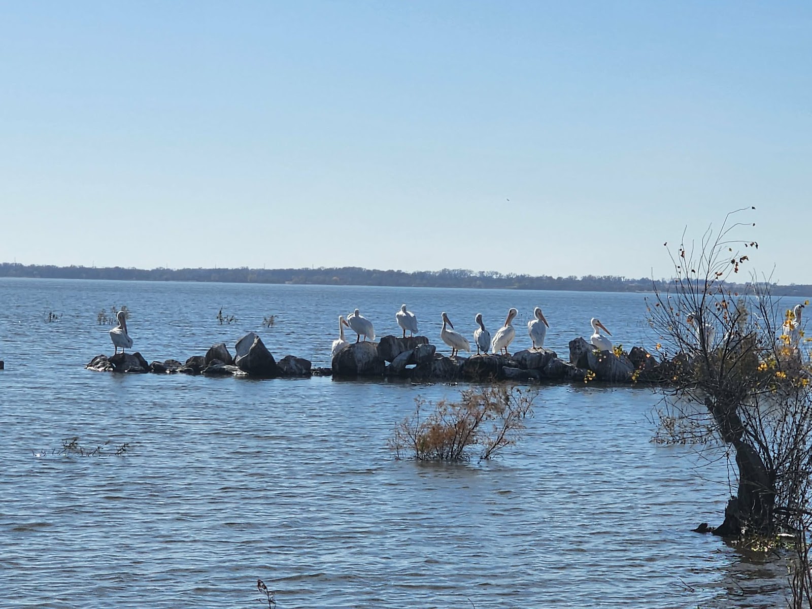 Cheney State Park