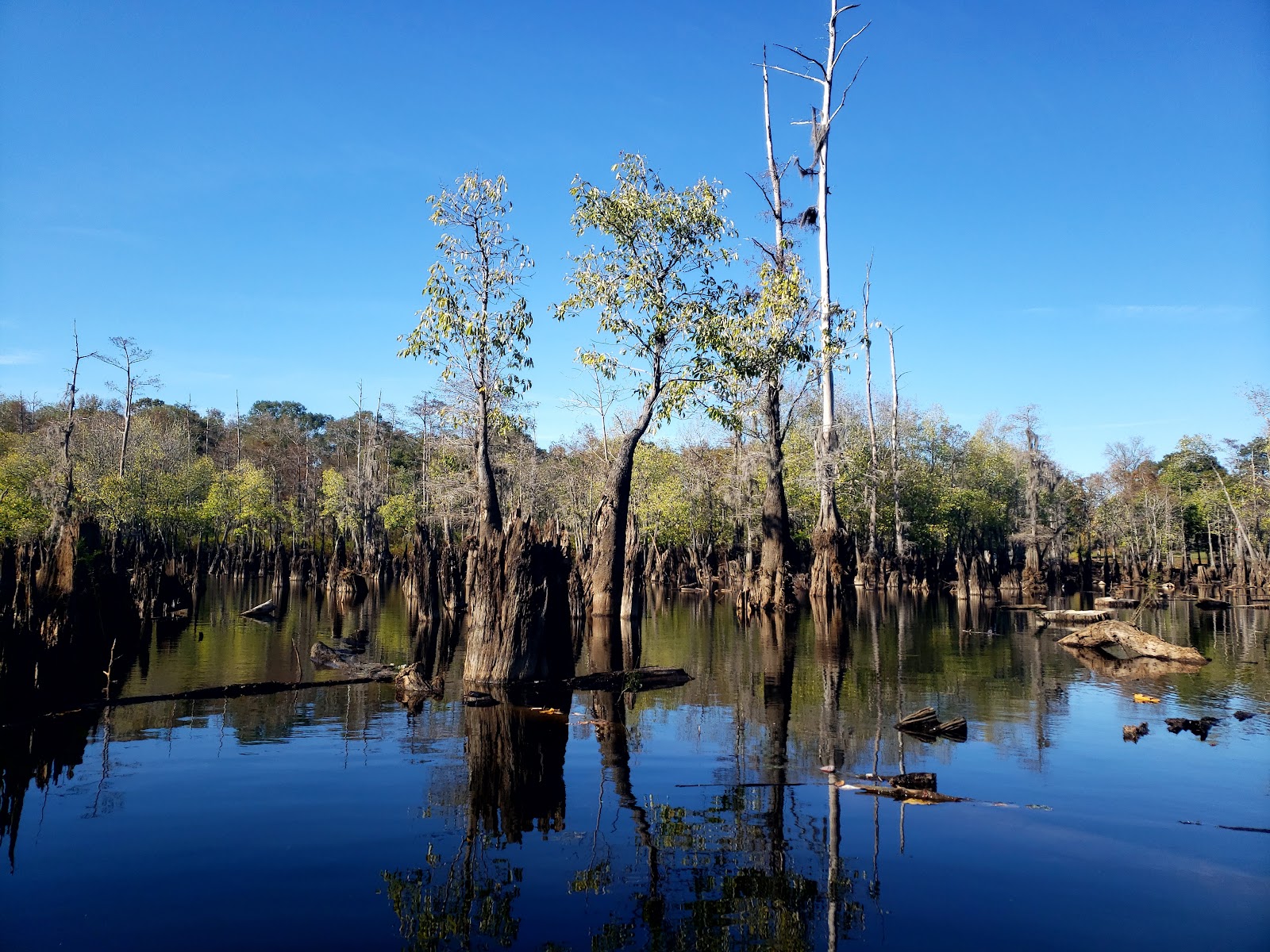 Cheniere Lake Park