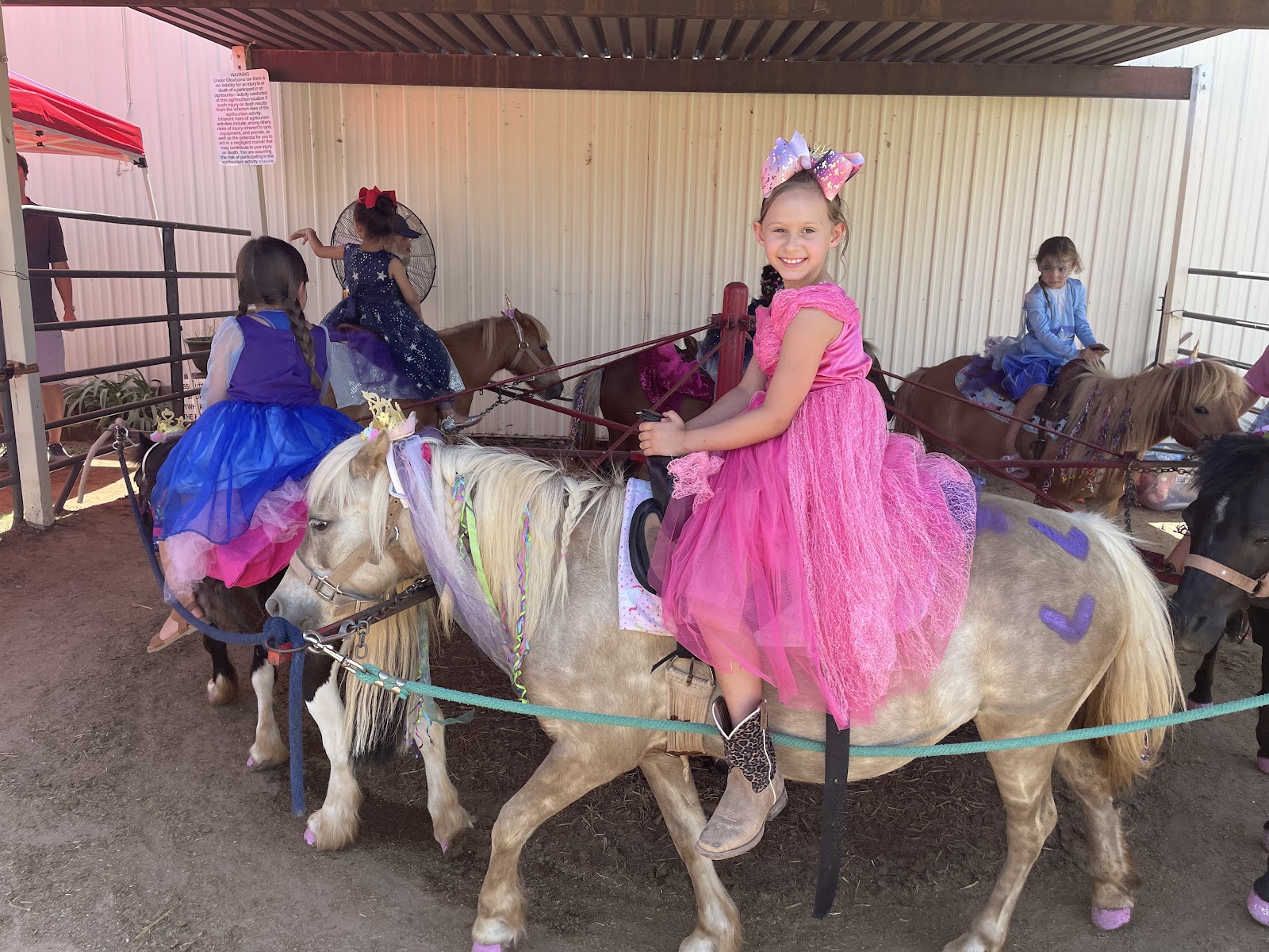 Chester's Party Barn & Farm