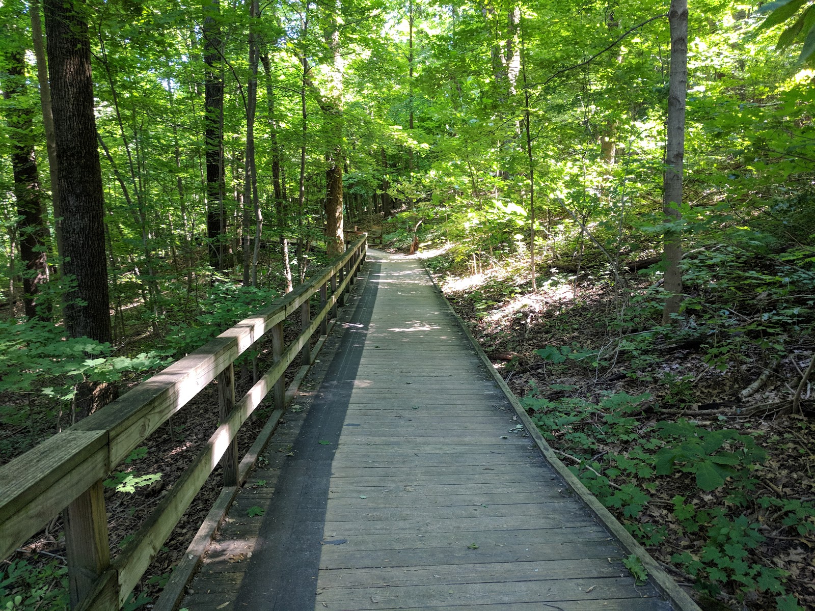 Chestnut Ridge Metro Park