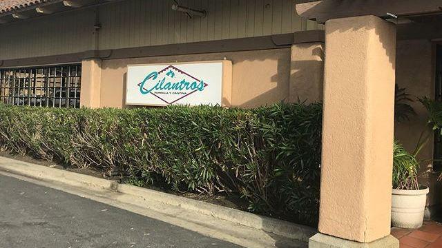 Cilantros - Parrilla & Cantina