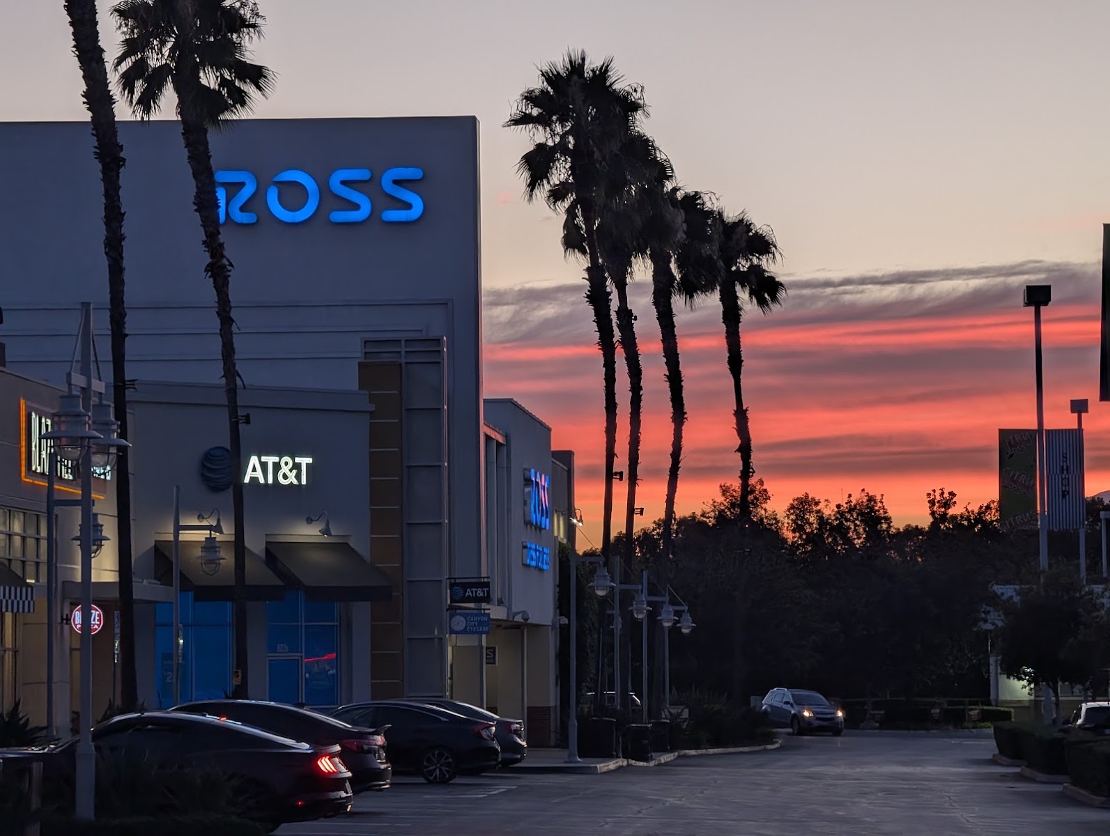 Citrus Crossing