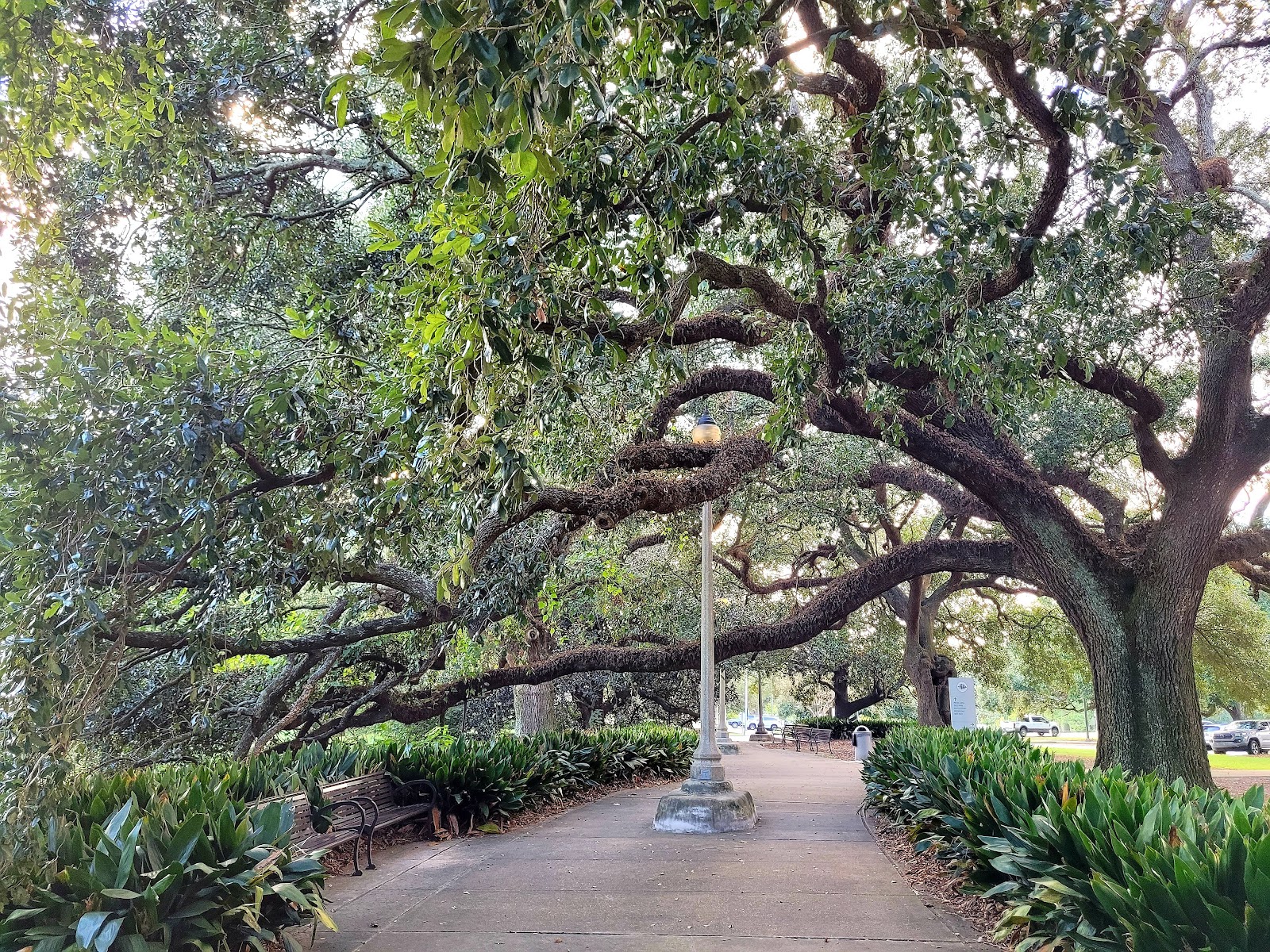 City-Brooks Community Park