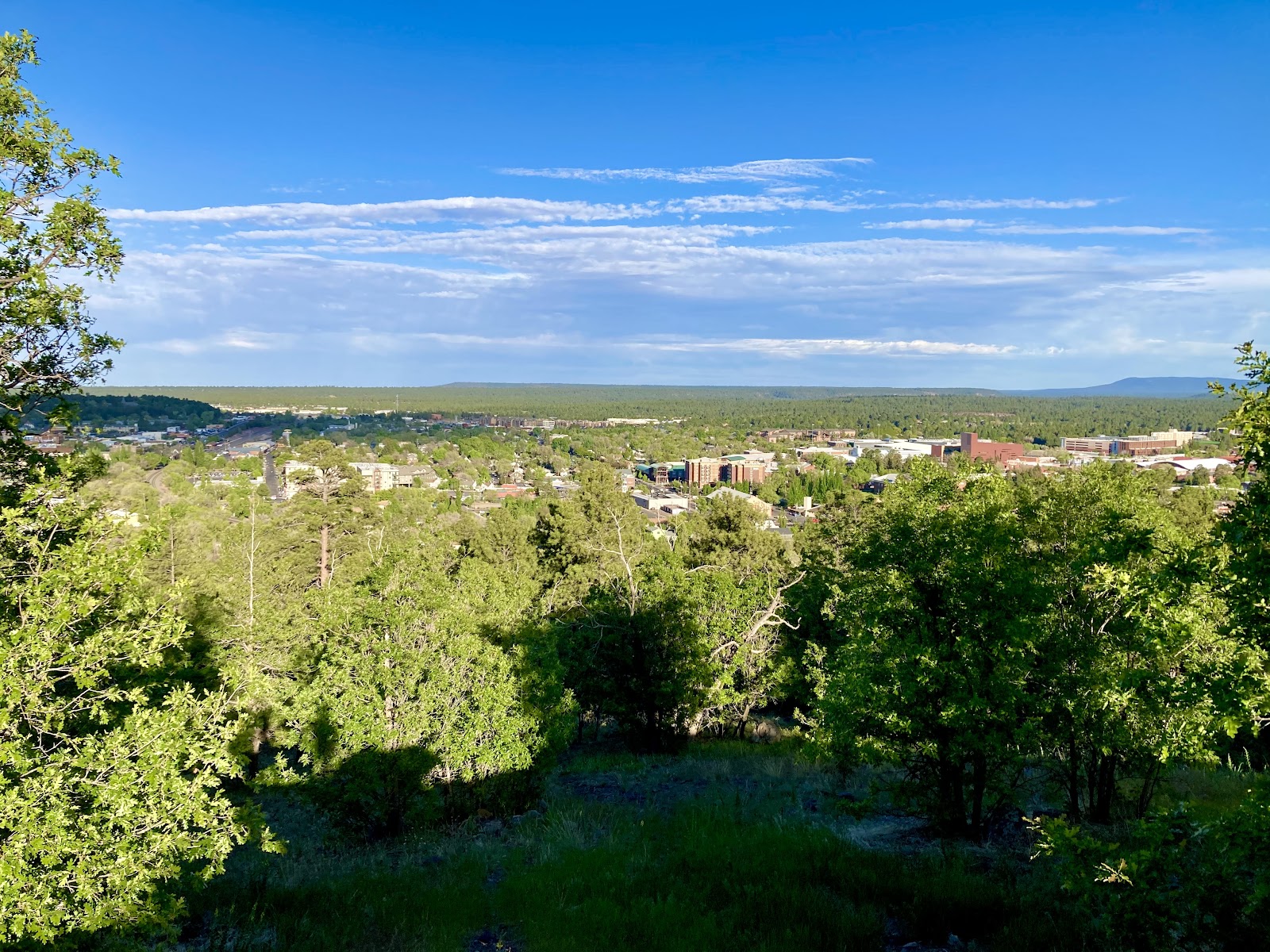 City Overlook