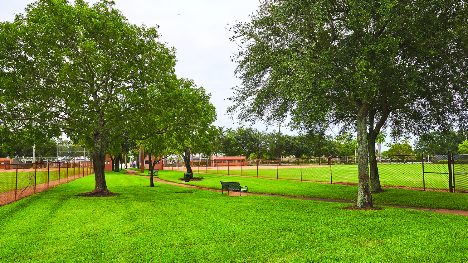 City Park