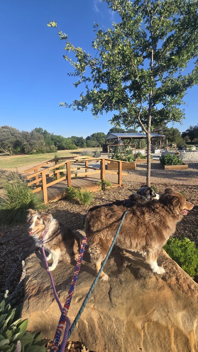 Clapp Park