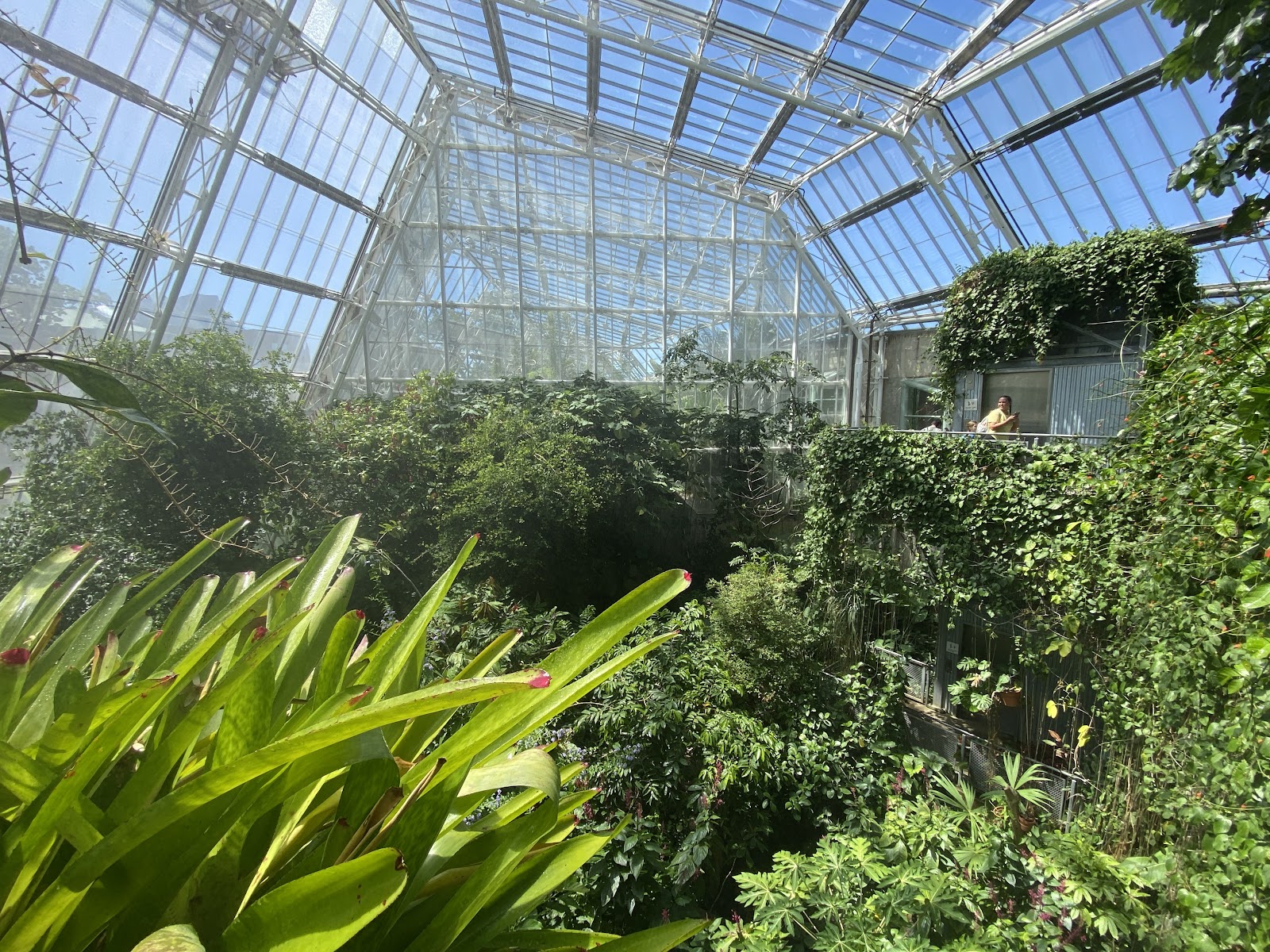 Cleveland Botanical Garden