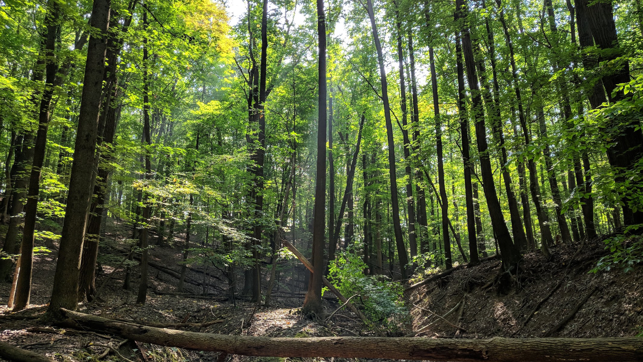Cleveland Metroparks