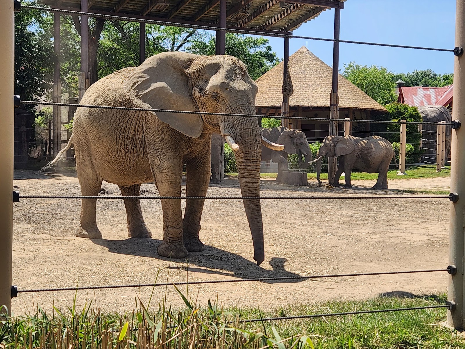 Cleveland Metroparks Zoo
