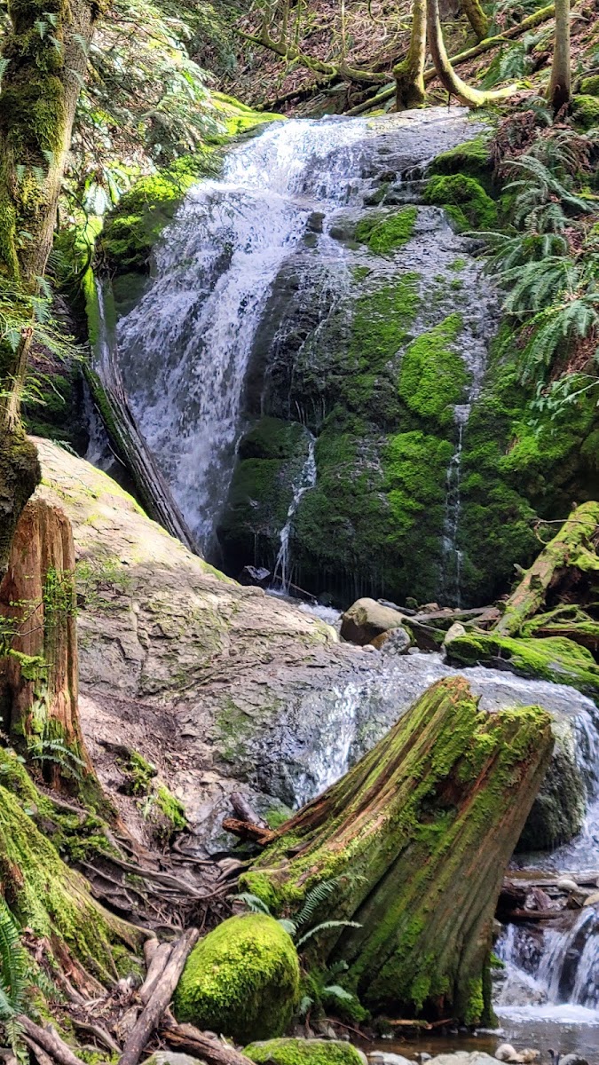 Coal Creek Falls